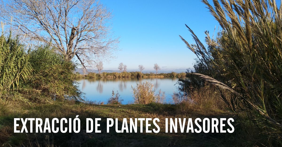 Extracci� de plantes invasores