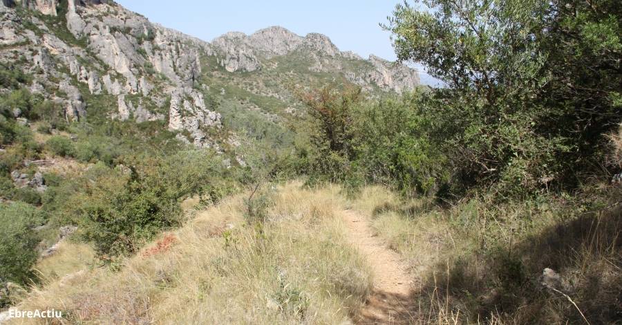 Crida a extremar les precaucions per l’elevat risc d’incendi previst a les Terres de l’Ebre | EbreActiu.cat, revista digital d’oci actiu | Terres de l’Ebre ... Crida a extremar les precaucions per l’elevat risc d’incendi previst a les Terres de l’Ebre | EbreActiu.cat, revista digital d’oci actiu | Terres de l’Ebre ...