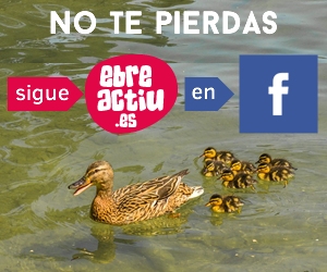 no te pierdas: síguenos en facebook no te pierdas: síguenos en facebook