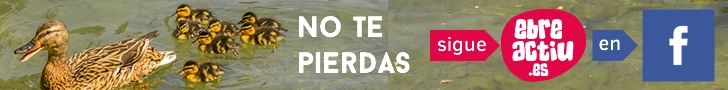 no te pierdas: síguenos en facebook no te pierdas: síguenos en facebook