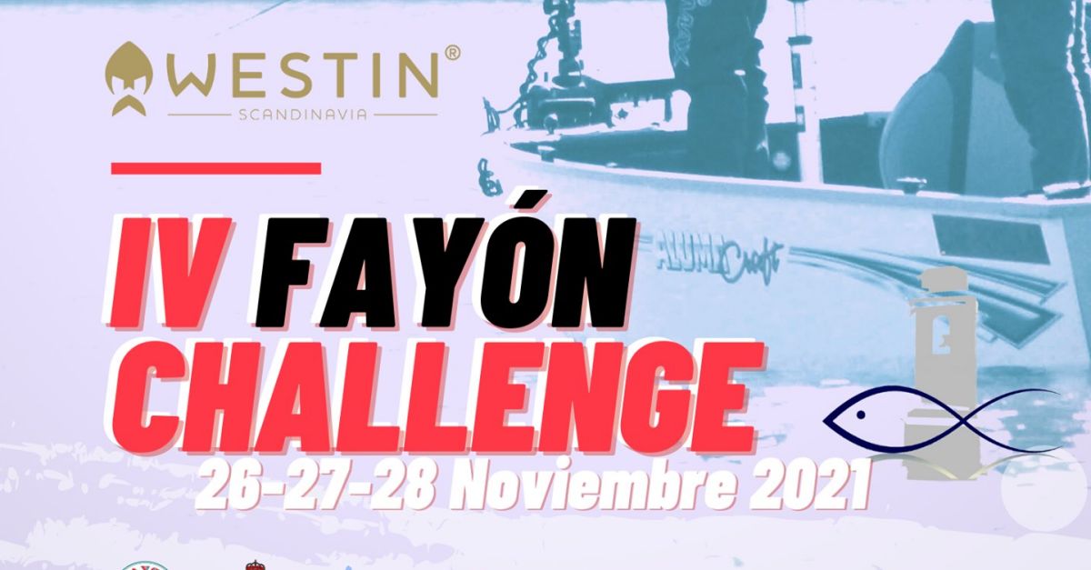 IV Fay�n Challenge