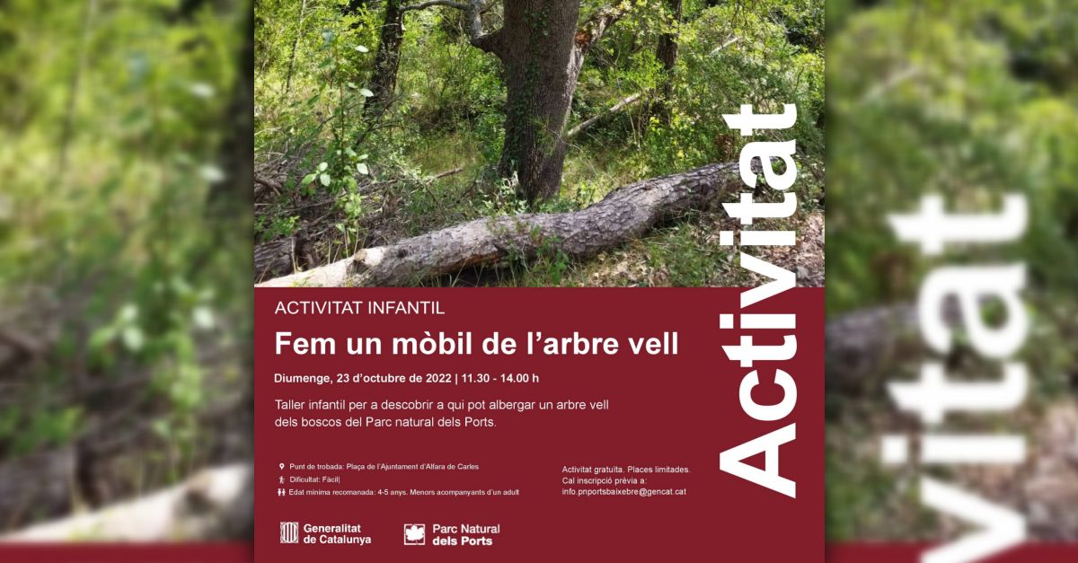 Taller infantil Fem un mòbil de l’arbre vell Taller infantil Fem un mòbil de l’arbre vell