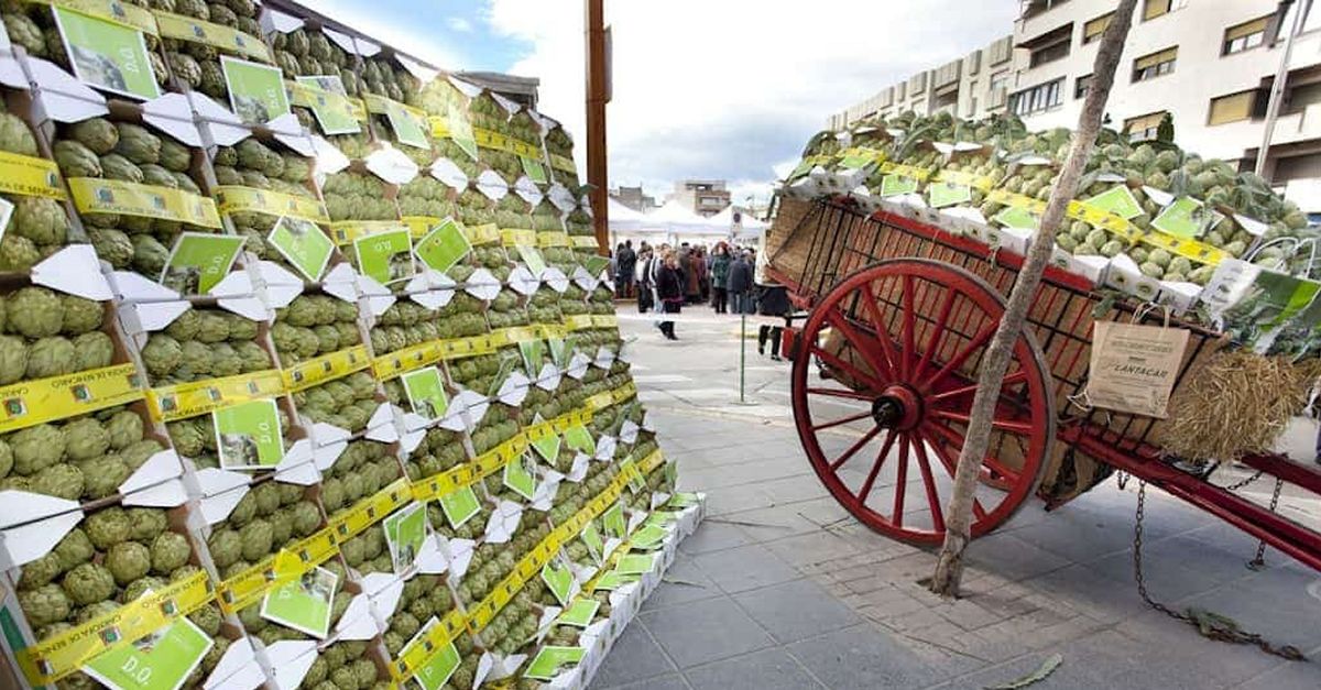 La Festa de la Carxofa de Benicarl ajorna els actes multitudinaris per mant les jornades als restaurants
