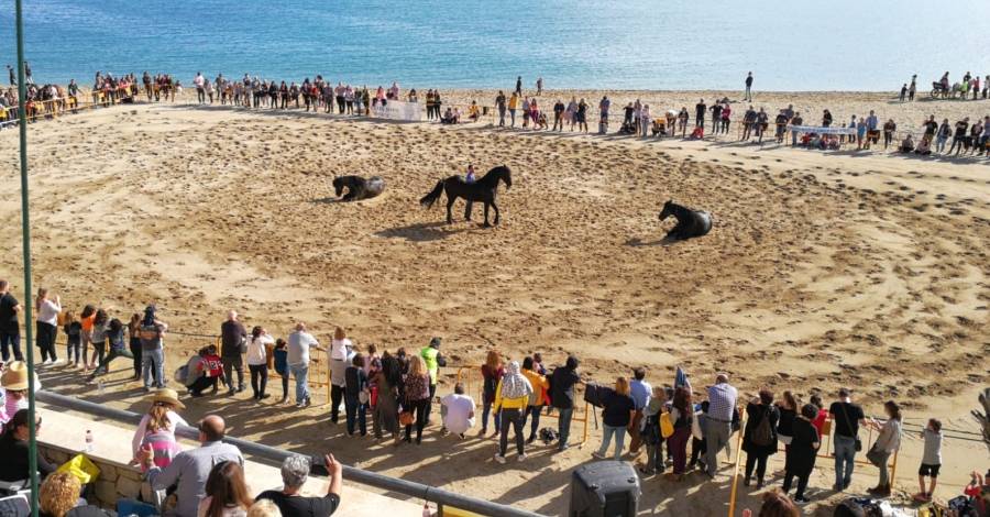 La Festa de lAssociaci Amics del Cavall de lAmpolla aplega dos-mil persones