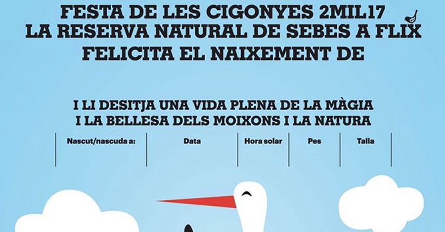 15 Fiesta de las Cig�e�as