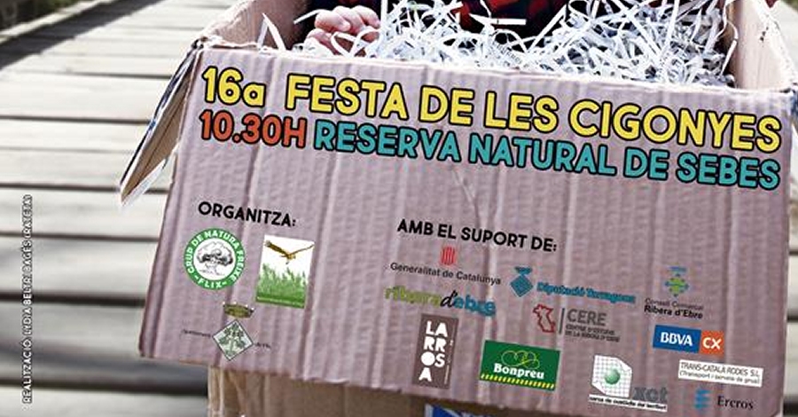 16 Fiesta de las Cig�e�as