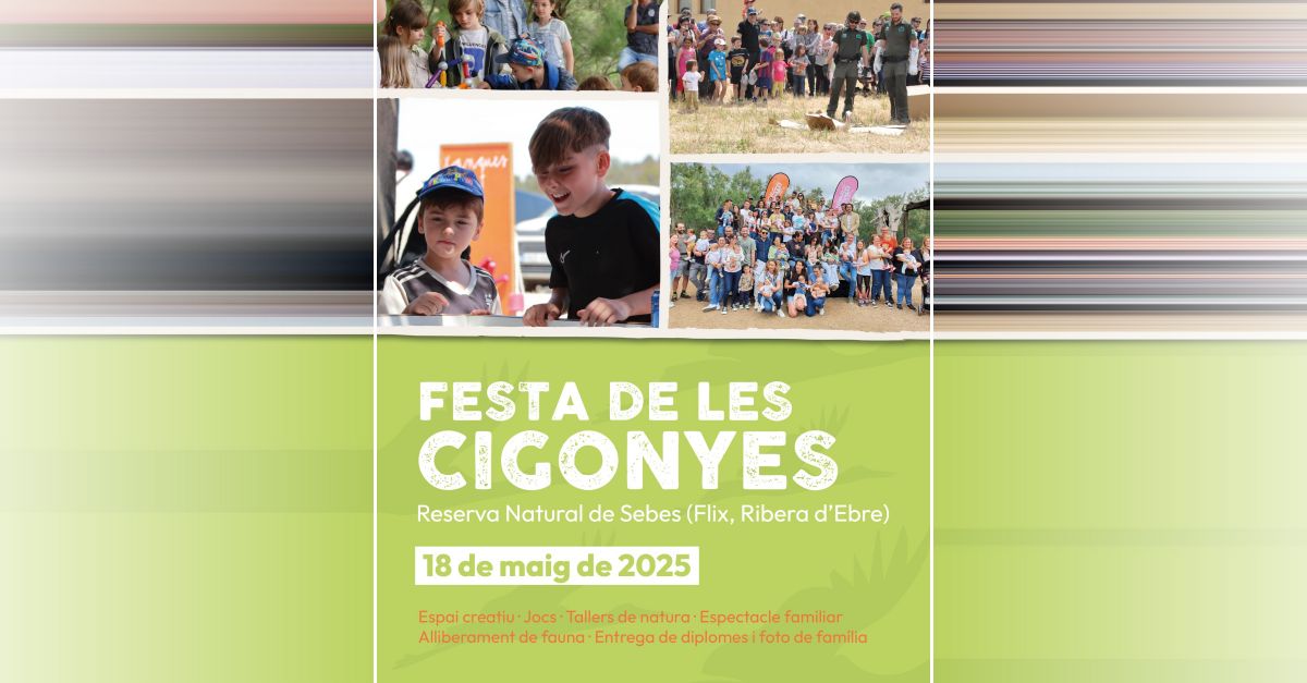 Festa de les Cigonyes