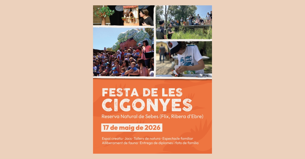 Festa de les Cigonyes