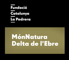 Festa de M�nNatura Delta