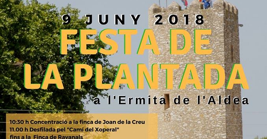 Festa de la Plantada a l�Ermita de l�Aldea