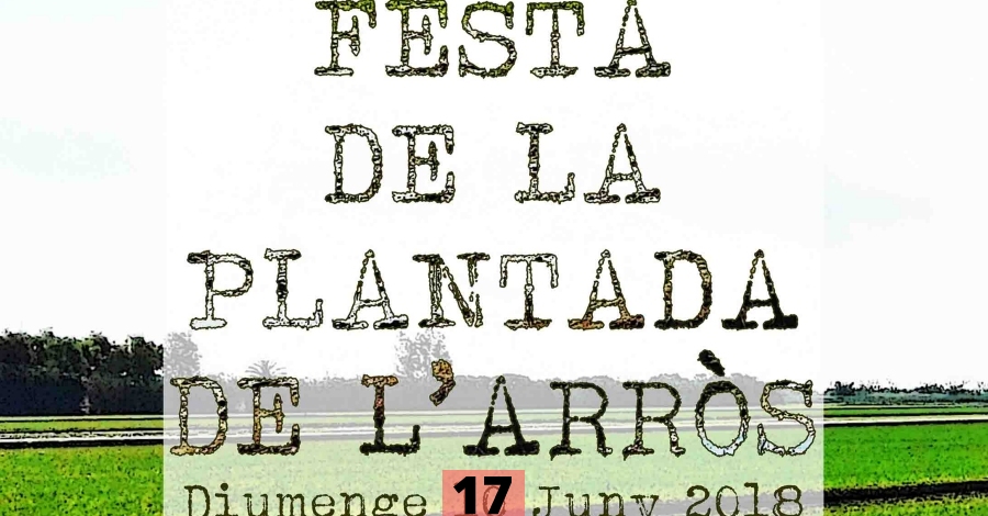 XI Festa de la Plantada a l�Ampolla (ajornada al 17 de junio)