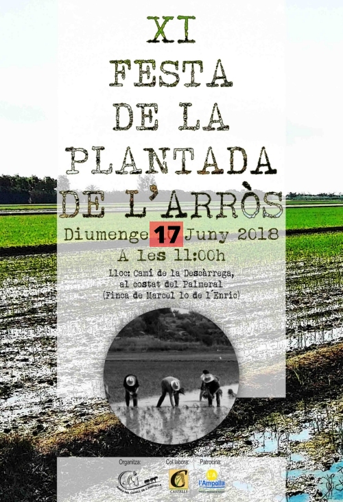 XI Festa de la Plantada a l�Ampolla (ajornada al 17 de juny)