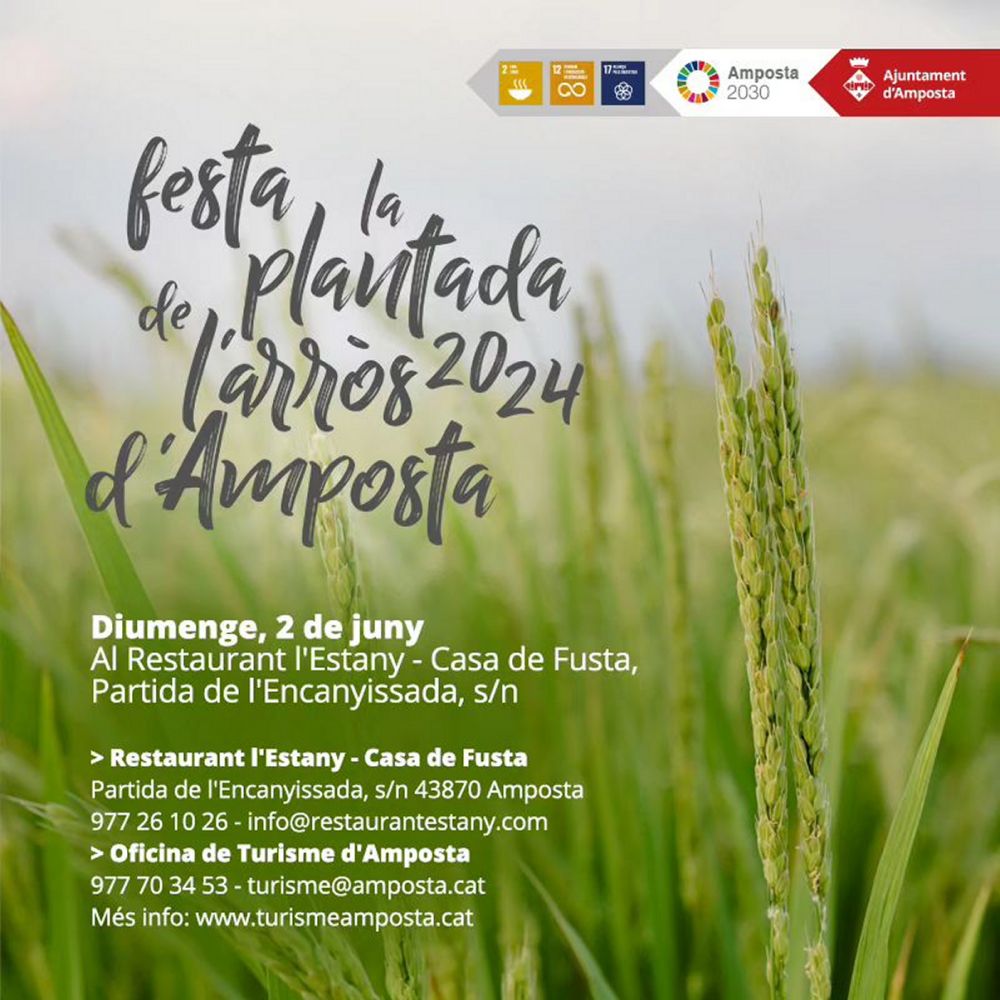 Festa de la Plantada de l’Arròs 2024 - Amposta Festa de la Plantada de l’Arròs 2024 - Amposta