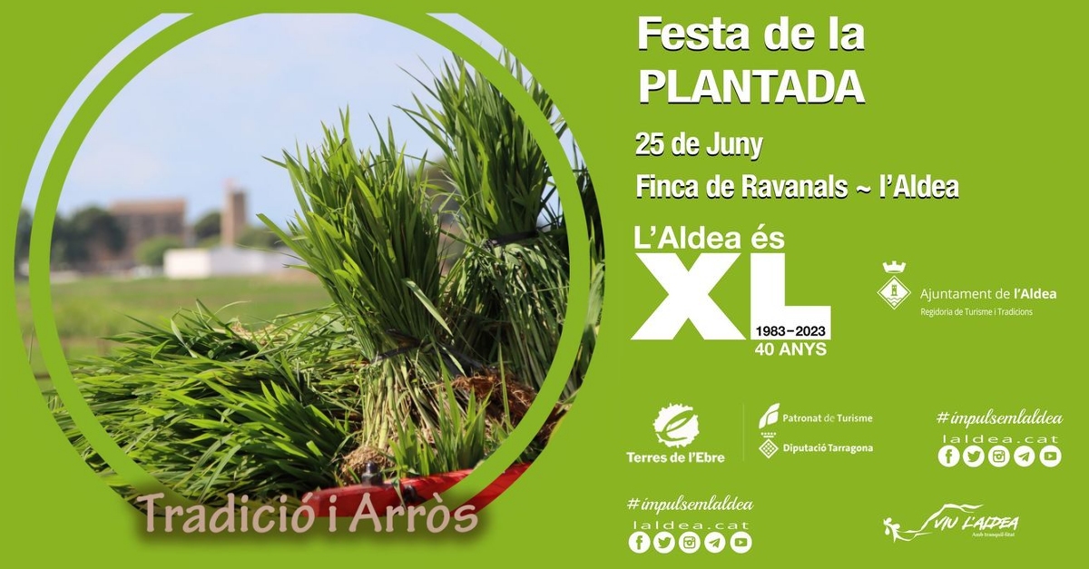 Festa de la Plantada de l�arr�s