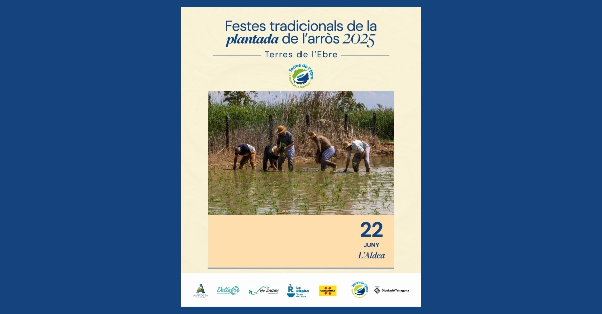 Festa de la Plantada de larrs de lAldea