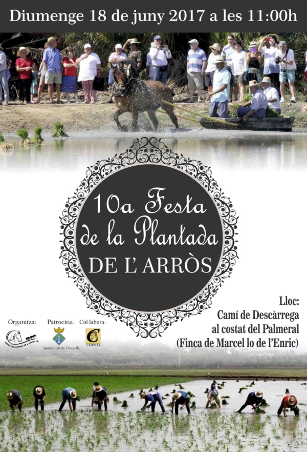 Festa de la Plantada de l�arr�s 