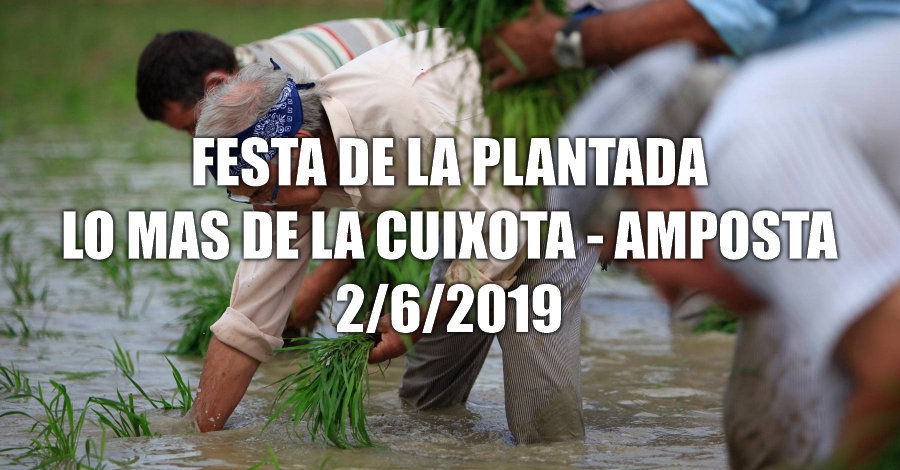 Fiesta de la Plantada de l�Arr�s  - Amposta
