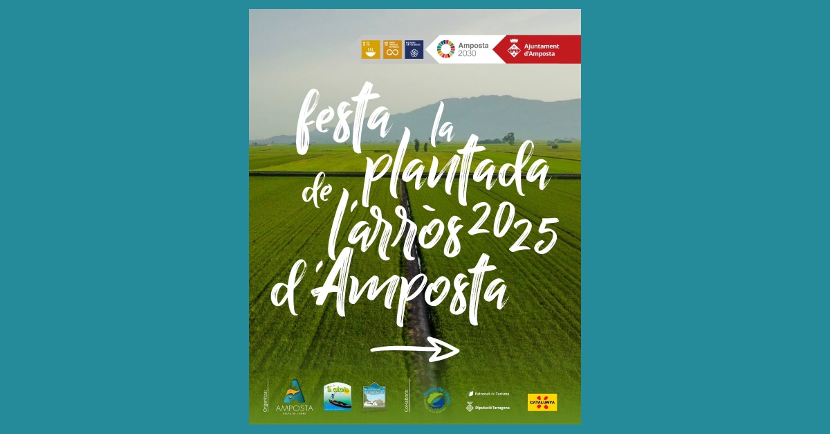 Festa de la Plantada de l�arr�s d�Amposta