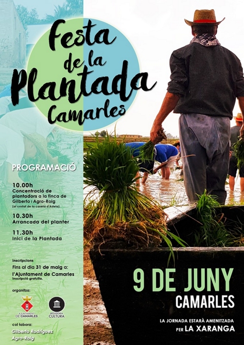 Festa de la Plantada de Camarles Festa de la Plantada de Camarles