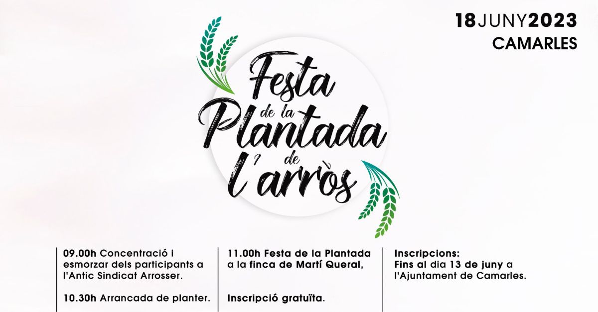 Festa de la Plantada de l�arr�s