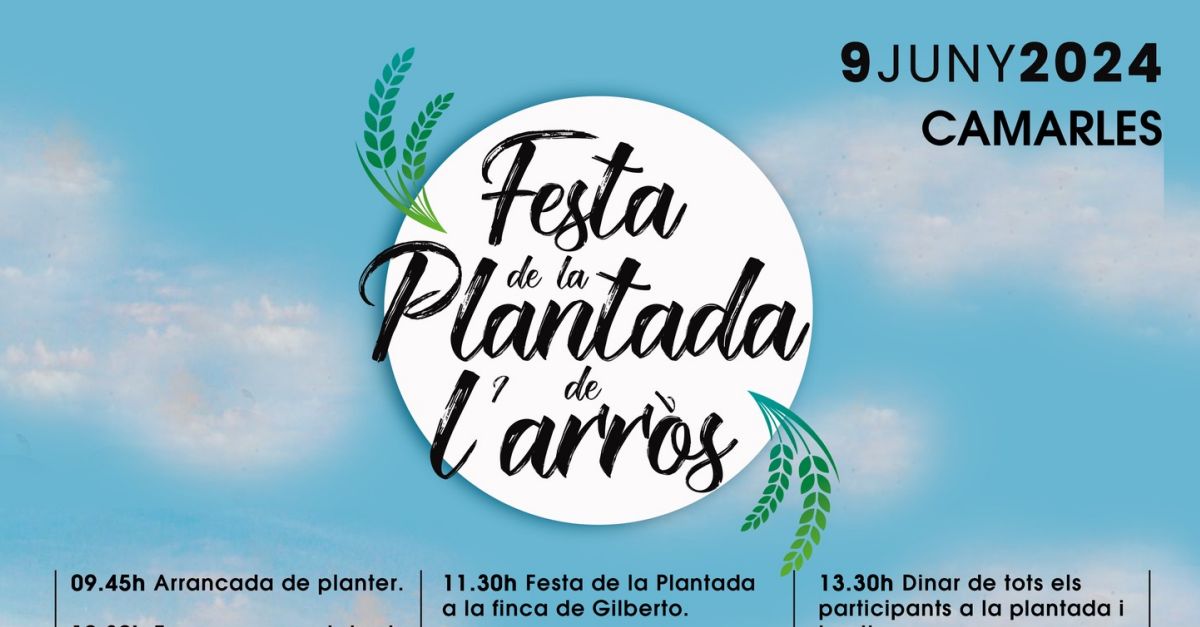 Festa de la Plantada de l�Arr�s 2024 - Camarles
