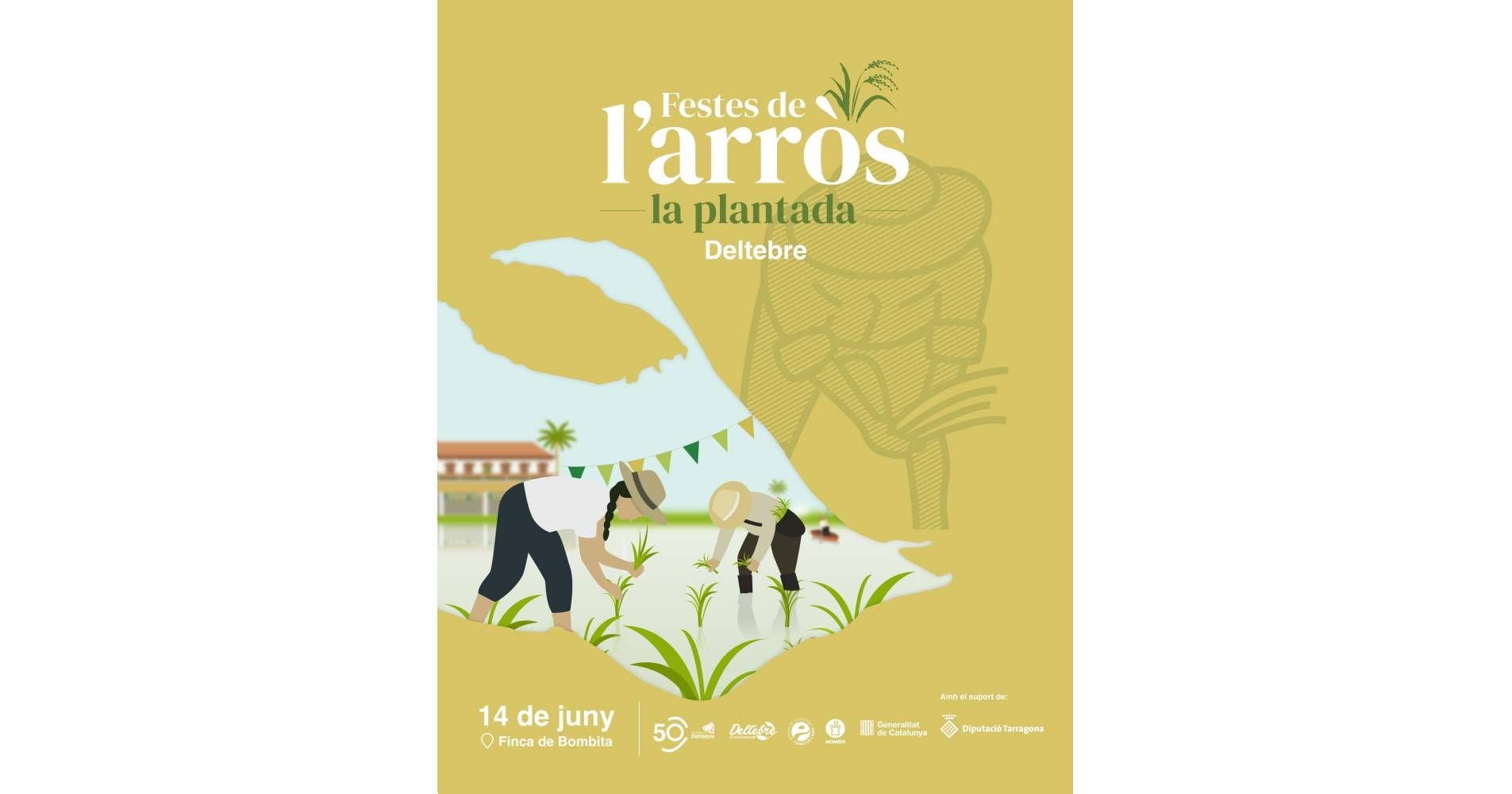 Festa de la Plantada de l�arr�s de Deltebre