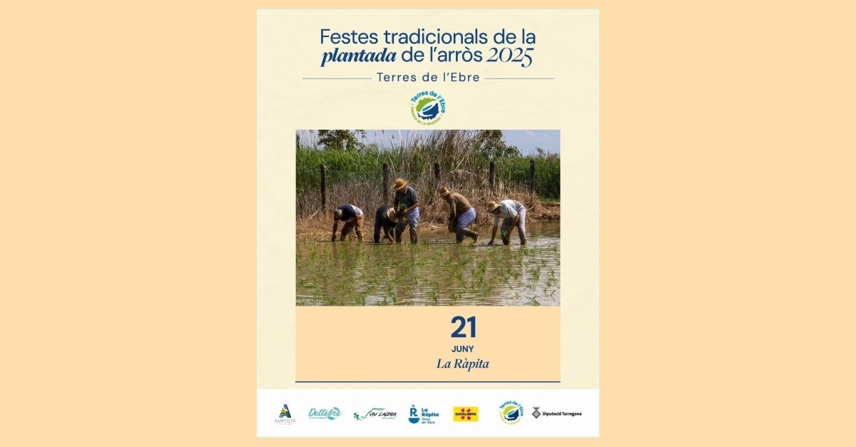 Festa de la Plantada de l�arr�s de La R�pita