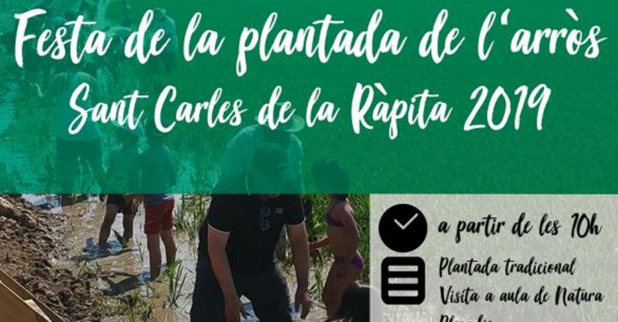 Festa de la Plantada Sant Carles de la R�pita 2019