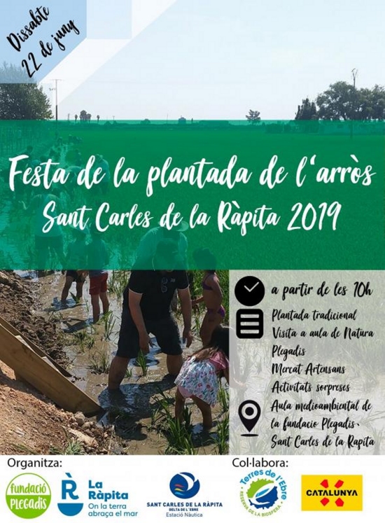 Festa de la Plantada Sant Carles de la R�pita 2019