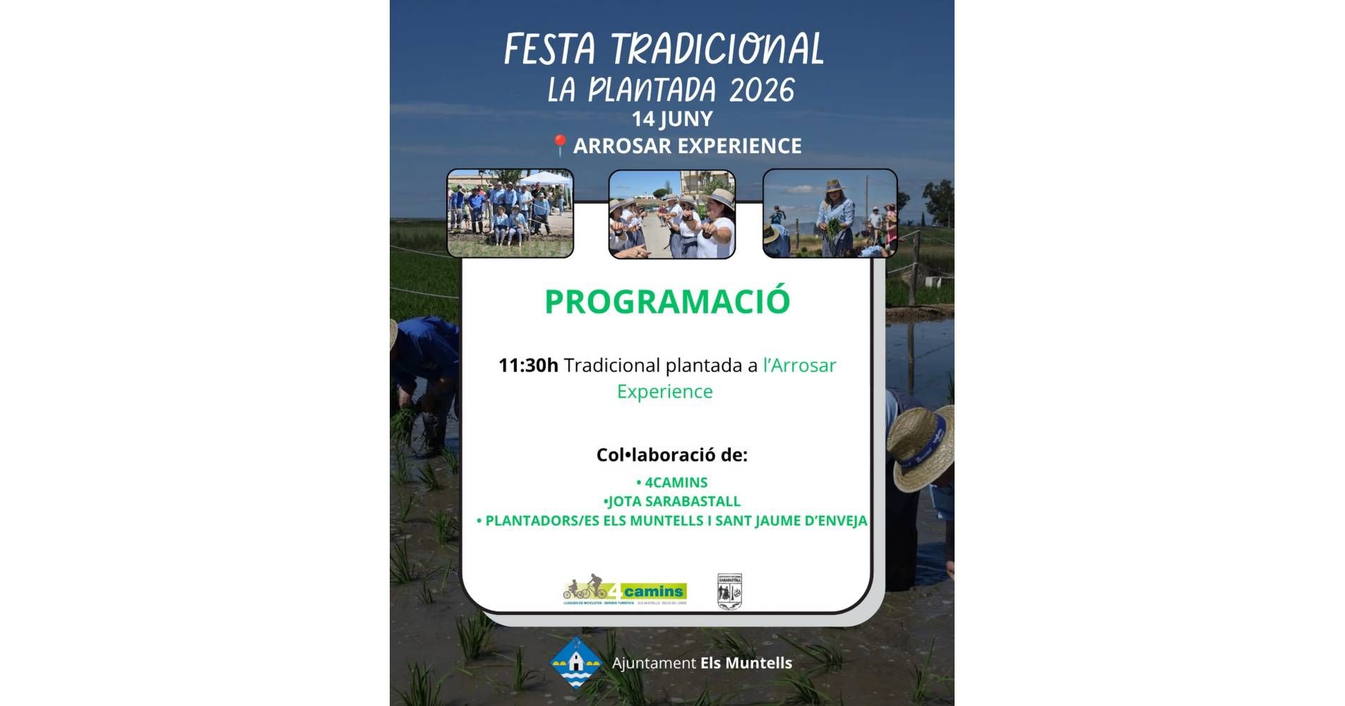 Festa tradicional de la plantada