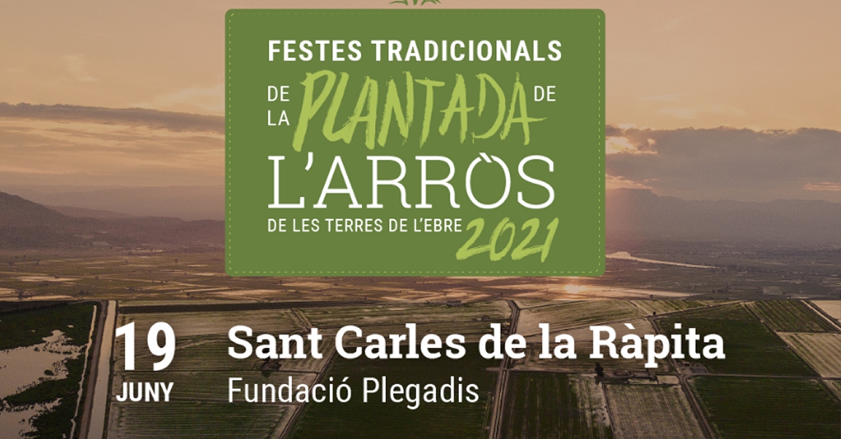Festa de la Plantada de l&rsquo;Arr�s a La R�pita