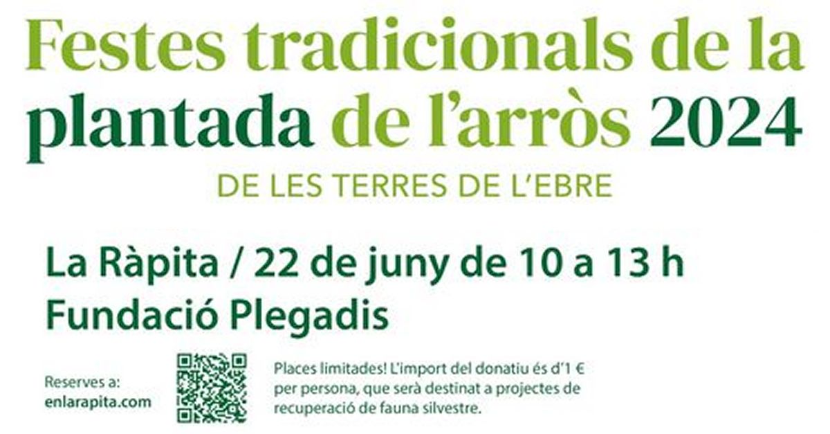 Festa de la Plantada de l�Arr�s 2024 - la R�pita