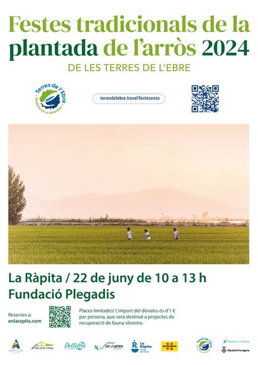 Festa de la Plantada de l�Arr�s 2024 - la R�pita
