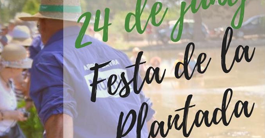 Festa de la Plantada a Sant Jaume d�Enveja
