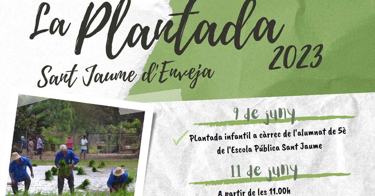 Festa de la Plantada de l�Arr�s 