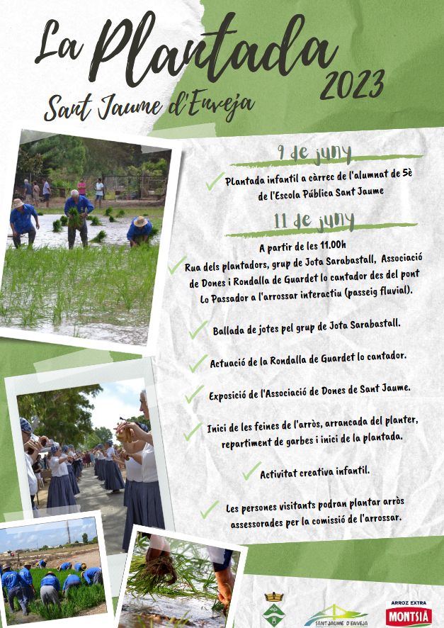 Festa de la Plantada de l’Arròs Festa de la Plantada de l’Arròs