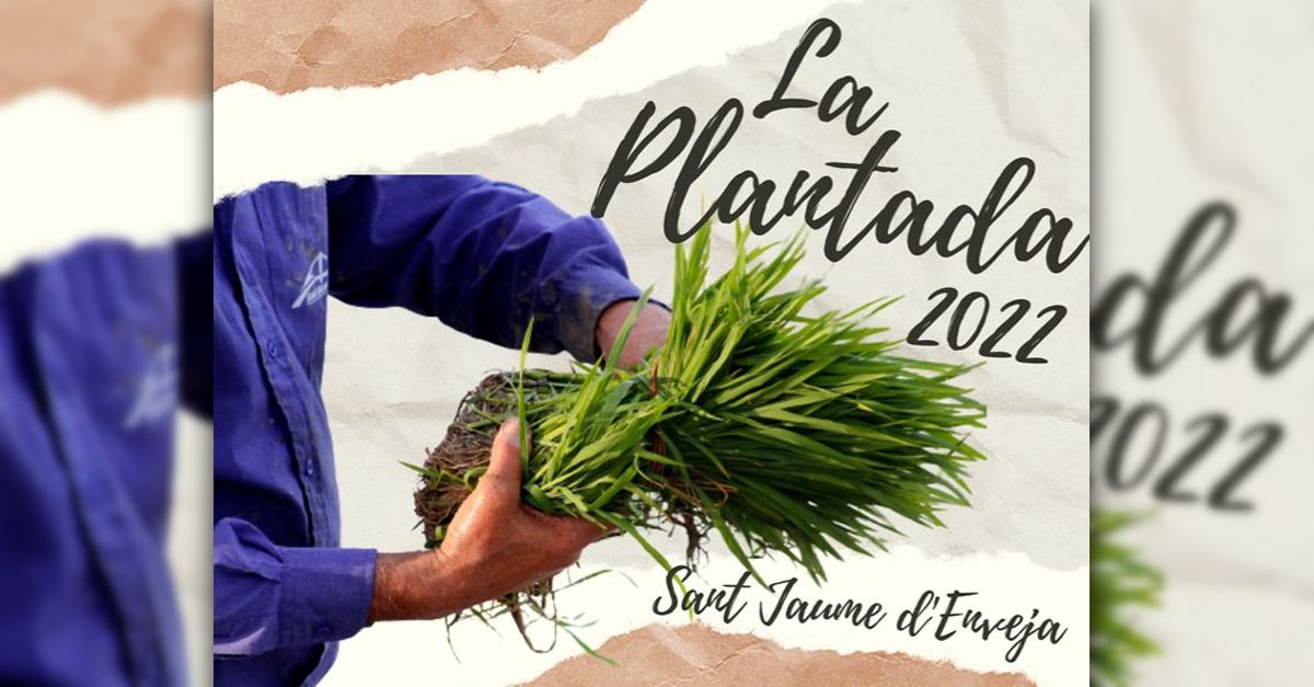 Festa de la Plantada a Sant Jaume d�Enveja