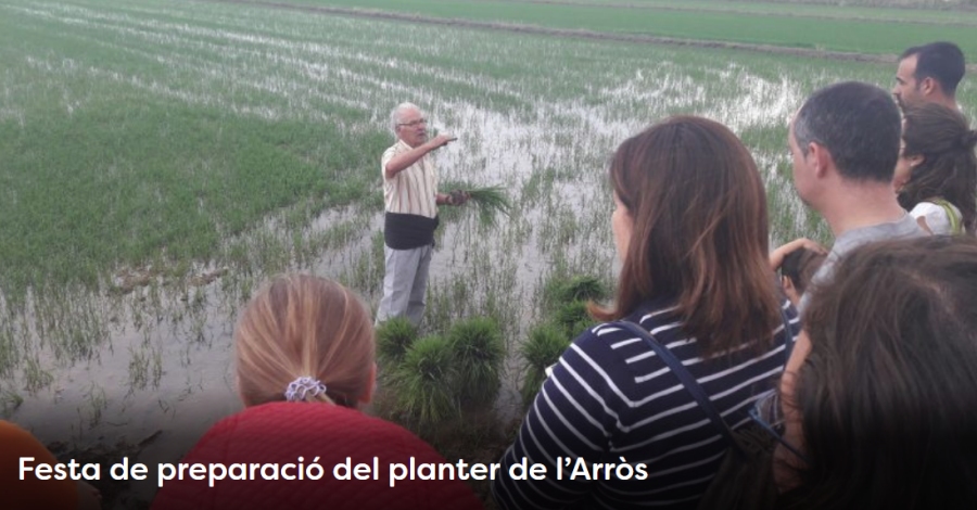 Setmana de la Natura: Festa de preparaci� del planter de l�arr�s