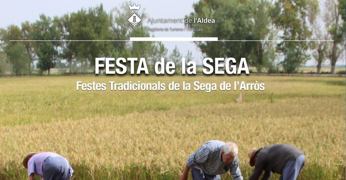 Fiesta de a siega del arroz en L�Aldea