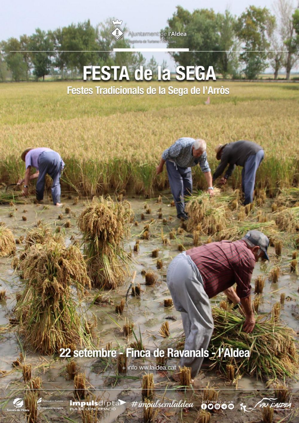 Festa de a sega de l�arr�s a L�Aldea