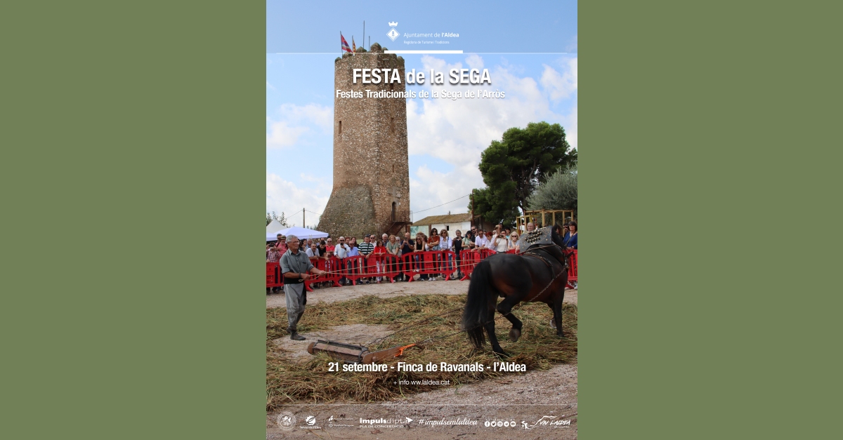 Festa de la sega de larrs de lAldea