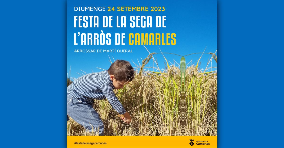 Festa de la Sega de l�Arr�s a Camarles