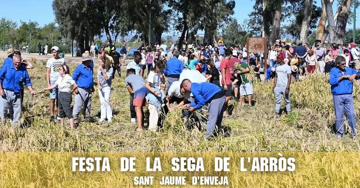 Festa de la Sega de l�Arr�s