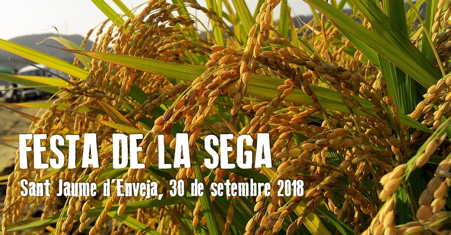 Festa de la Sega Sant Jaume d�Enveja