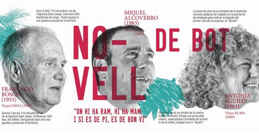 5a Festa del vi Novell i de l�oli nou 