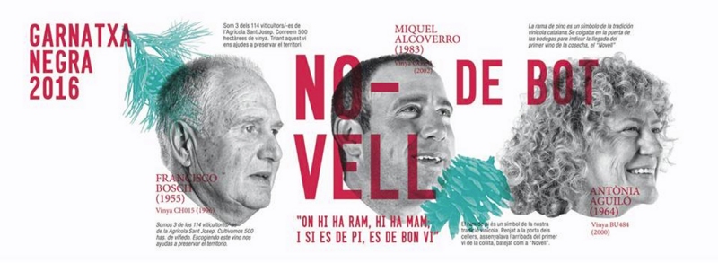 5a Festa del vi Novell i de l�oli nou 