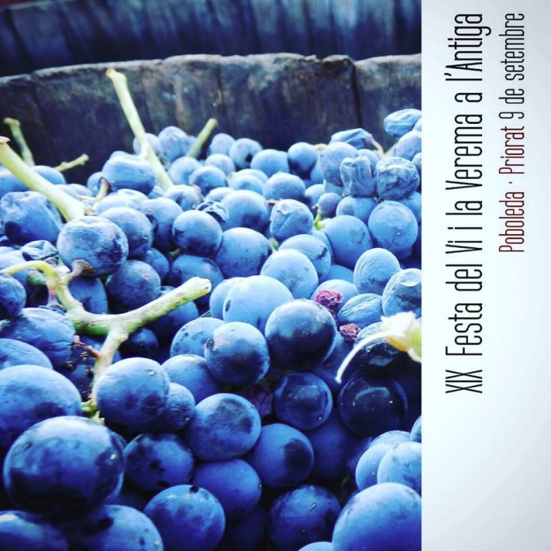 XIX Festa del Vi i la Verema a l’Antiga XIX Festa del Vi i la Verema a l’Antiga