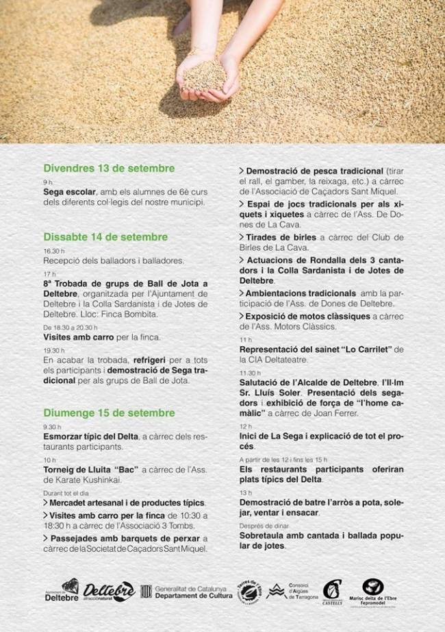 Festes de l�Arr�s de Deltebre