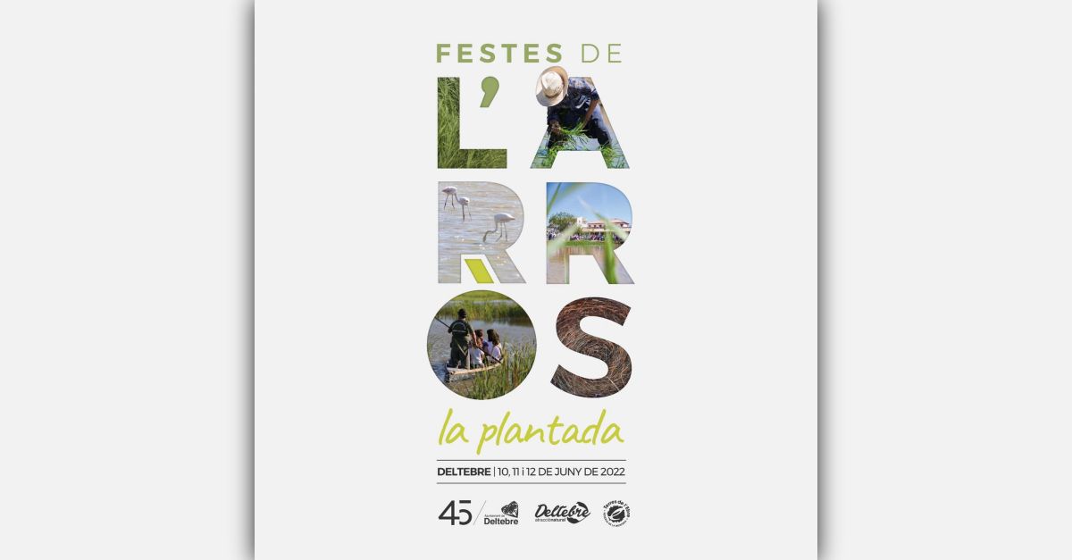 Festa de la Plantada de l�Arr�s a Deltebre
