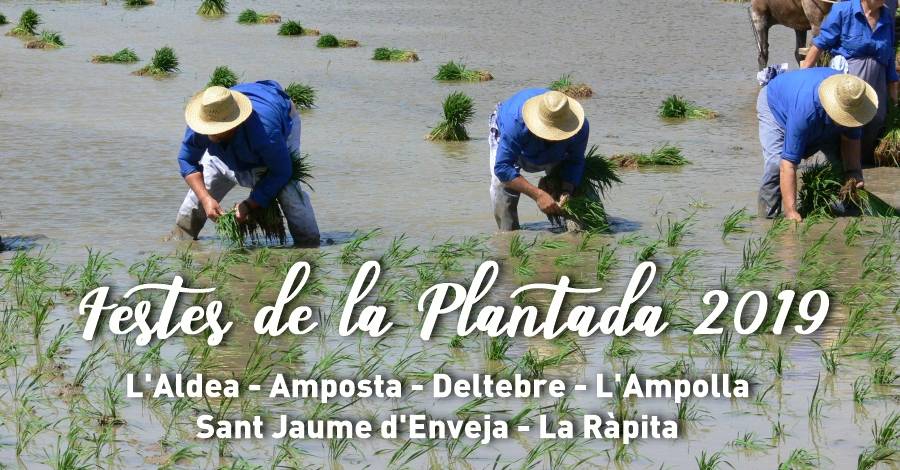 Festa de la Plantada L�Ampolla 2019